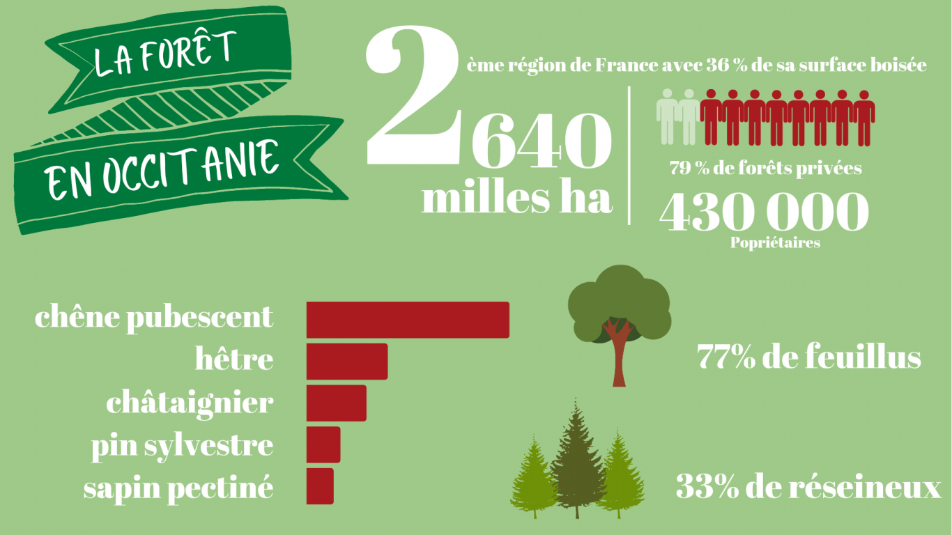 La forêt en Occitanie