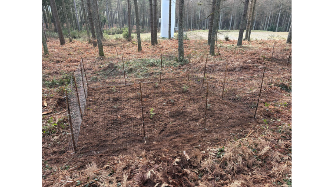 Placeau d’enrichissement