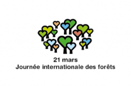 Logo Journée internationale des forêts