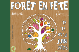 Forêt en fête