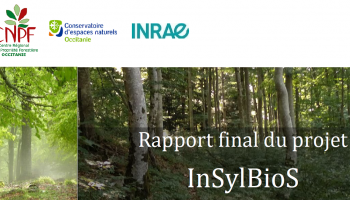 InSylBioS- Rapport