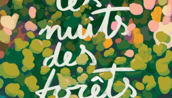 visuel nuit des forêts