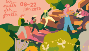 Nuit des forêts