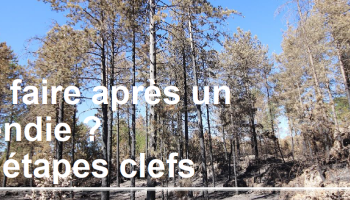 Notice incendie