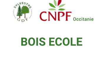 Bois école