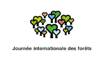 visuel Journée internationale des forêts