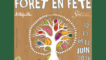 Forêt en fête