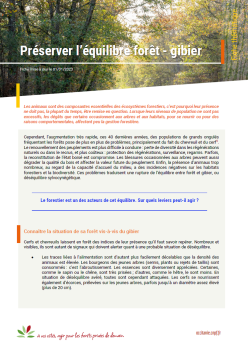 Equilibre forêt gibier