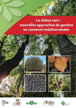 Couverture guide Innov'Ilex