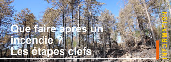 Notice incendie