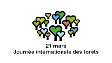 Logo Journée internationale des forêts