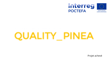 QUALITY PINEA - Promouvoir et organiser la filière pin pignon