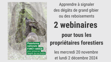 2 webinaires en 2024 pour apprendre à utiliser la plateforme forêt-gibier