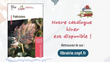 Catalogue des publications Hiver 2024-2025