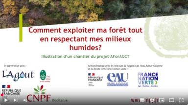Capture écran vidéo