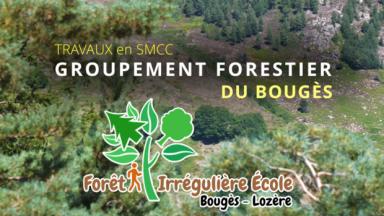  Les travaux en Sylviculture Mélangée à Couvert Continu dans la Forêt Irrégulière Ecole du Bougès