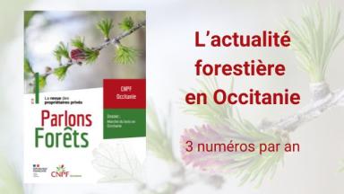 Parlons Forêts en Occitanie n°29