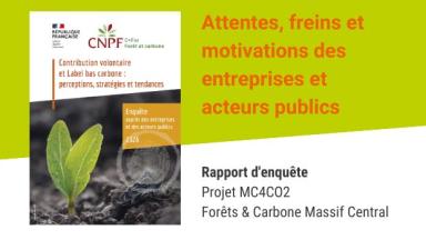 Rapport d'enquête auprès des entreprises et des acteurs publics - Projet MC4CO2 Forêts & Carbone Massif Central 