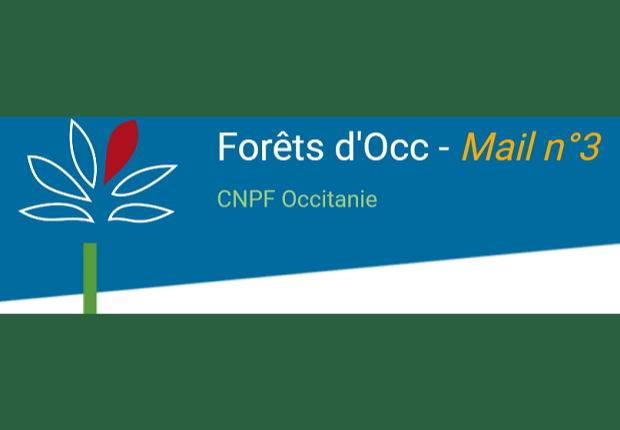 Forêts d'Occ - Mail