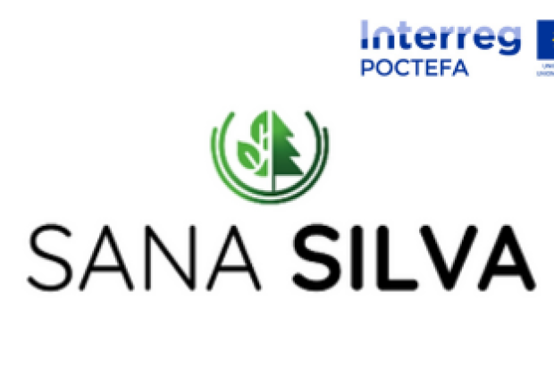 Sanasilva