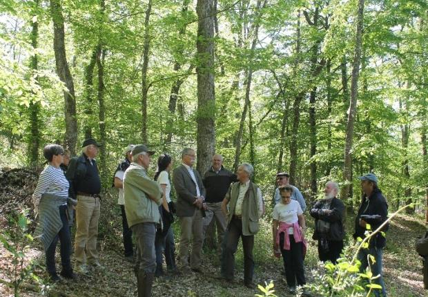 rencontres forestières