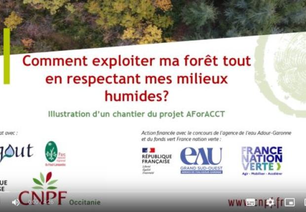 Capture écran vidéo