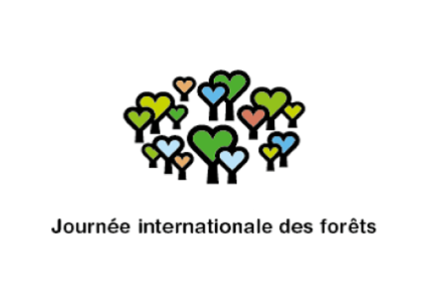 Visuel journée internationale des forêts
