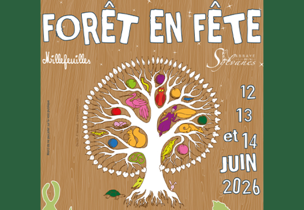 Forêt en fête