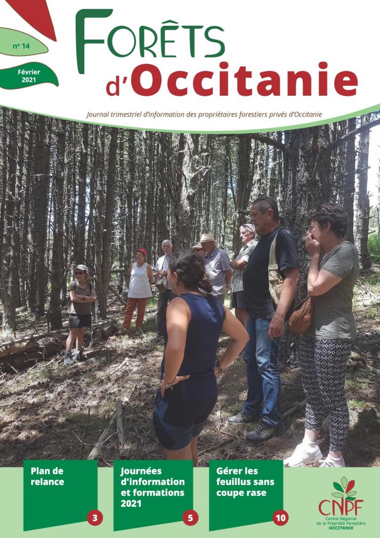 Forêts d'Occiatnie