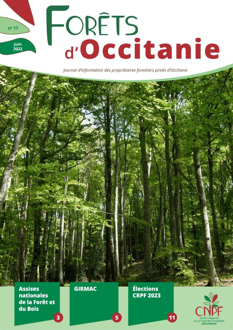 Forets_docciatnie17