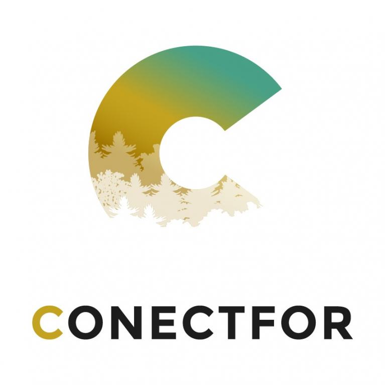 Logo projet Conectfor