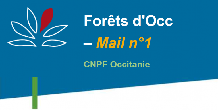 Forêt d'Occ - Mail n°1