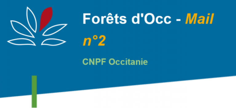 Forêt d'Occ - Mail n°2