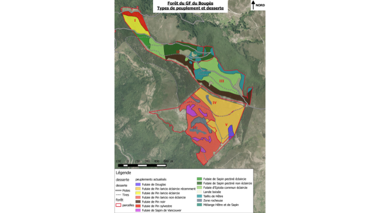 Peuplements forêt du Bougès