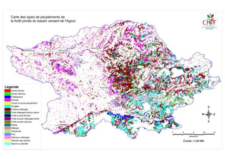 carte des types de peuplements