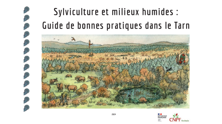 couverture guide sylviculture et zones humides - Tarn